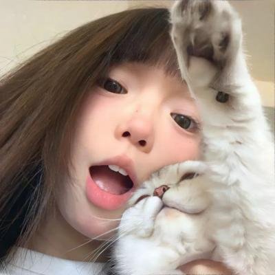 宅男腐女恋爱真难2020